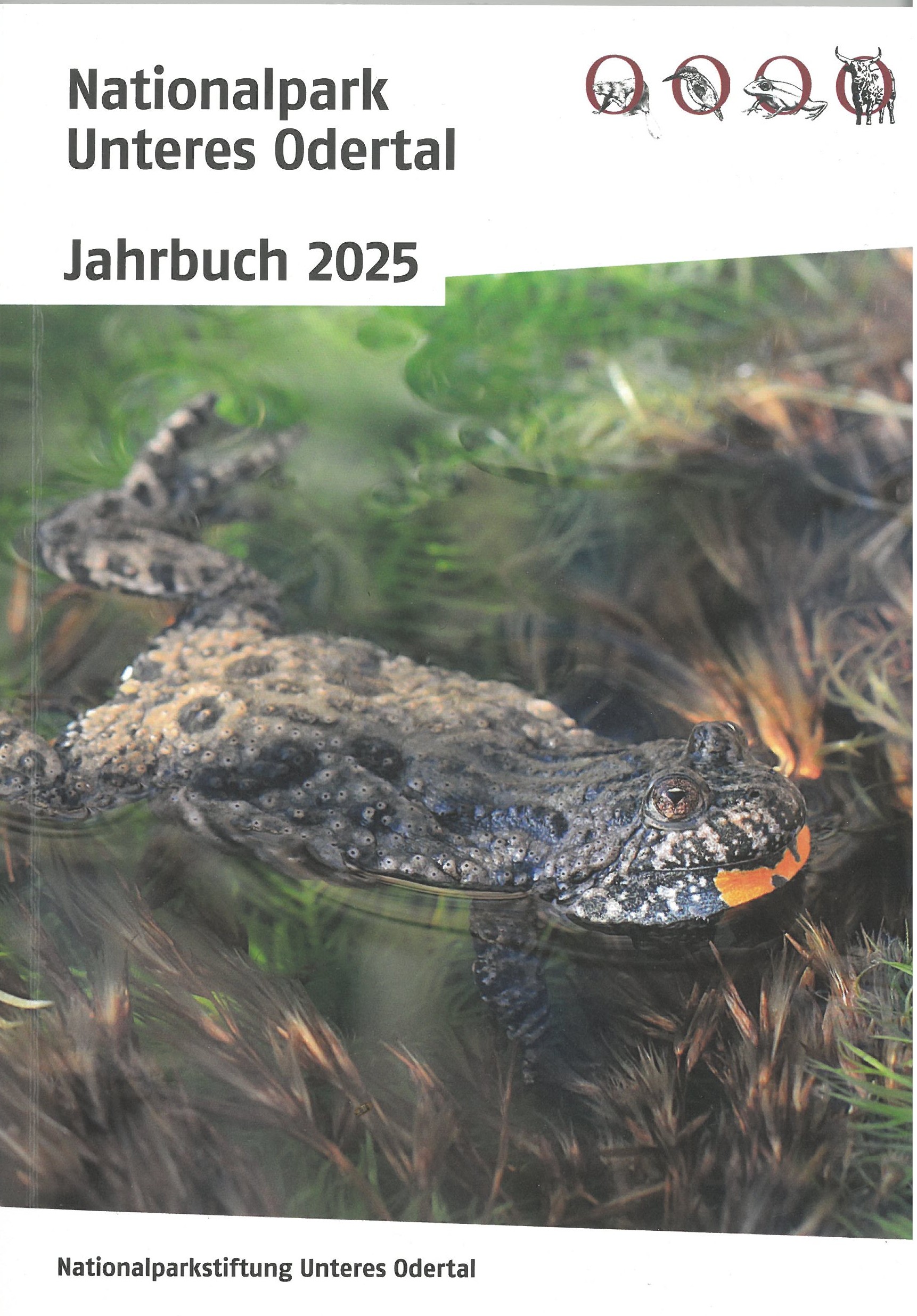 Nationalpark-Jahrbuch Unteres Odertal 2025