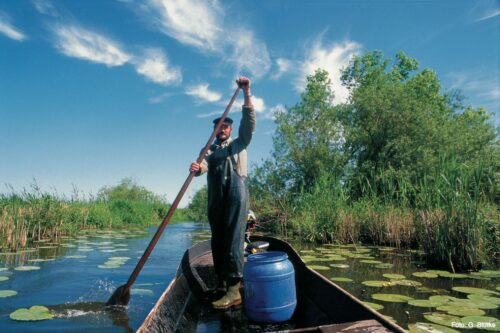 Fishermen at work