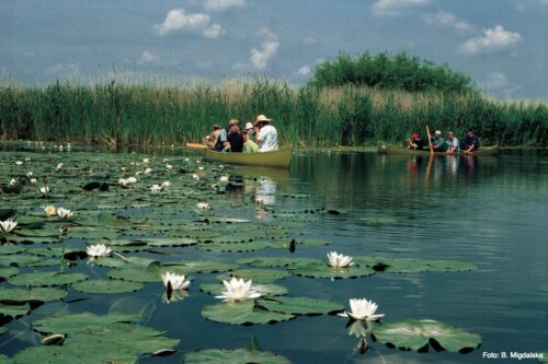 Canoe trip in the Zwischenoderland