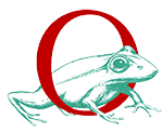 Logo Frosch Nationalparkstiftung