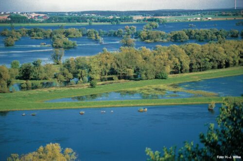 Wet polder