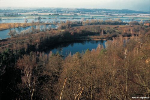 Polder zimą