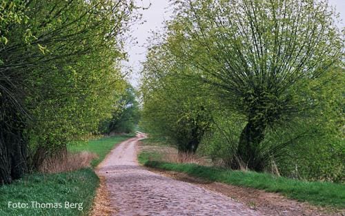 Dry polder near Stolzenhagen