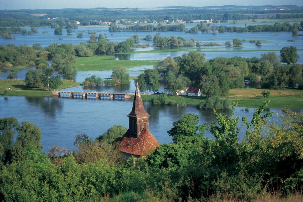 Überflutung im Nationalpark Unteres Odertal