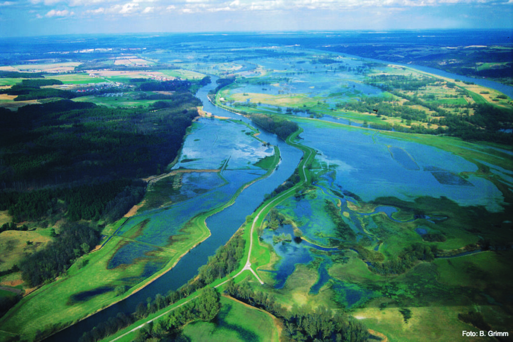 Luftbild Überflutungsfläche