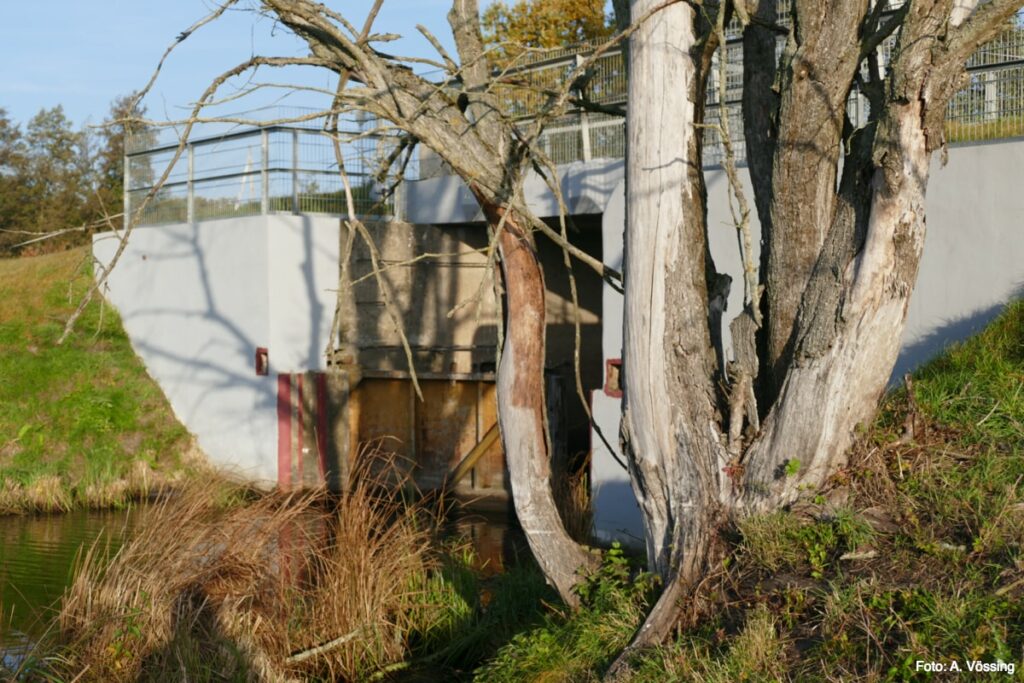 Hydraulic engineering installation at the Fiddichower Polder (10)